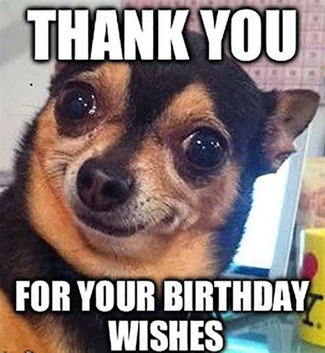 Funny thank you birthday memes. Things To Know About Funny thank you birthday memes. 